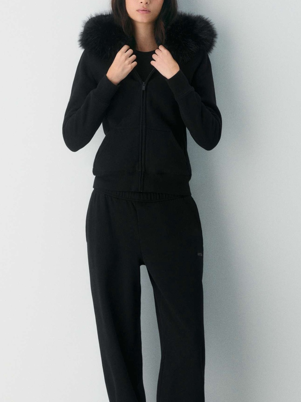 Aritzia Cozy Sweatfleece Snug Zip Hoodie